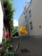 // 2- Raum Wohnung * EBK * Balkon // ab 01.08. - Ansicht